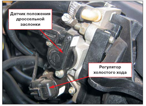 Рхх где он находится Рхх где он находится
