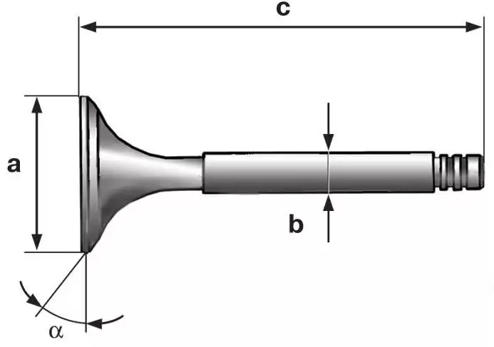 Размеры клапанов. Выпускной клапан Фабия 1.2. G4kd диаметр клапанов. Диаметр клапана Шкода Октавия 1.6. Размеры клапана ВАЗ 2206.