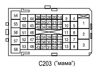C203m