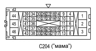 C203m